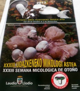 2013_LOGO_MICOLOGICA_LAUDIO